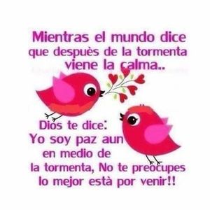 Meet your Posher, Rina